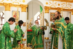 ����������� 131